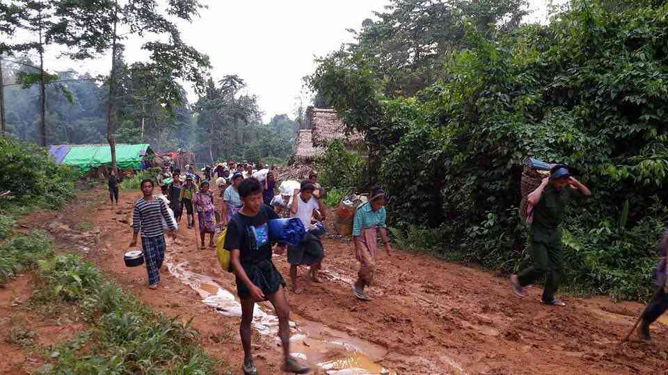 5922468125790788576.jpg 5922468125790788576.jpg