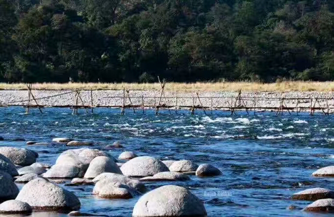 mmexport1500461927971.jpg mmexport1500461927971.jpg