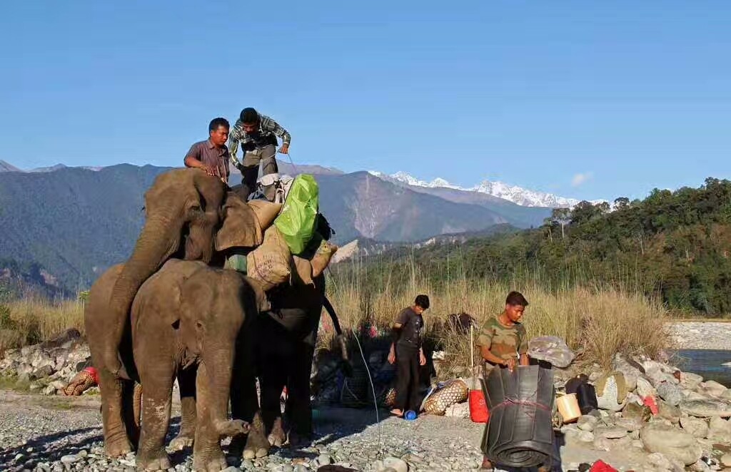 mmexport1500461780612.jpg mmexport1500461780612.jpg