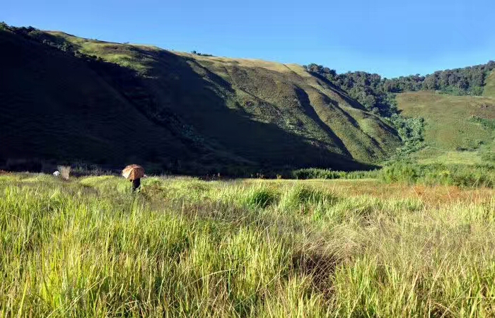 mmexport1500744383949.jpg mmexport1500744383949.jpg